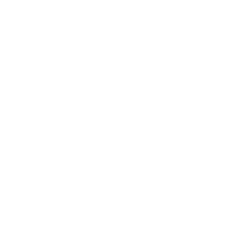 leverage client logo