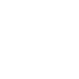 Branding icon