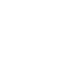 Search Engine Optimisation icon