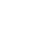 Website Development icon