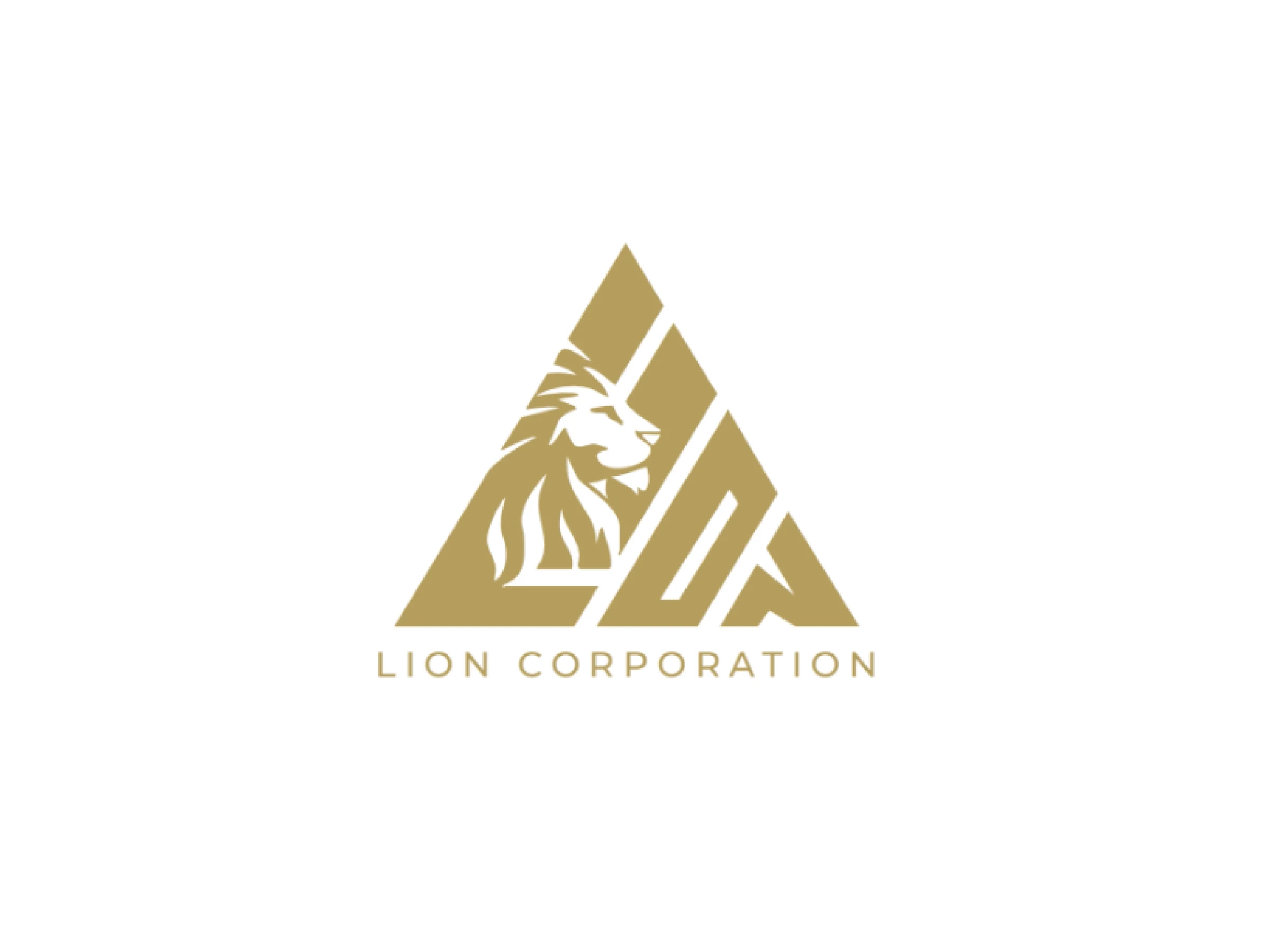 Lion Corporation identity