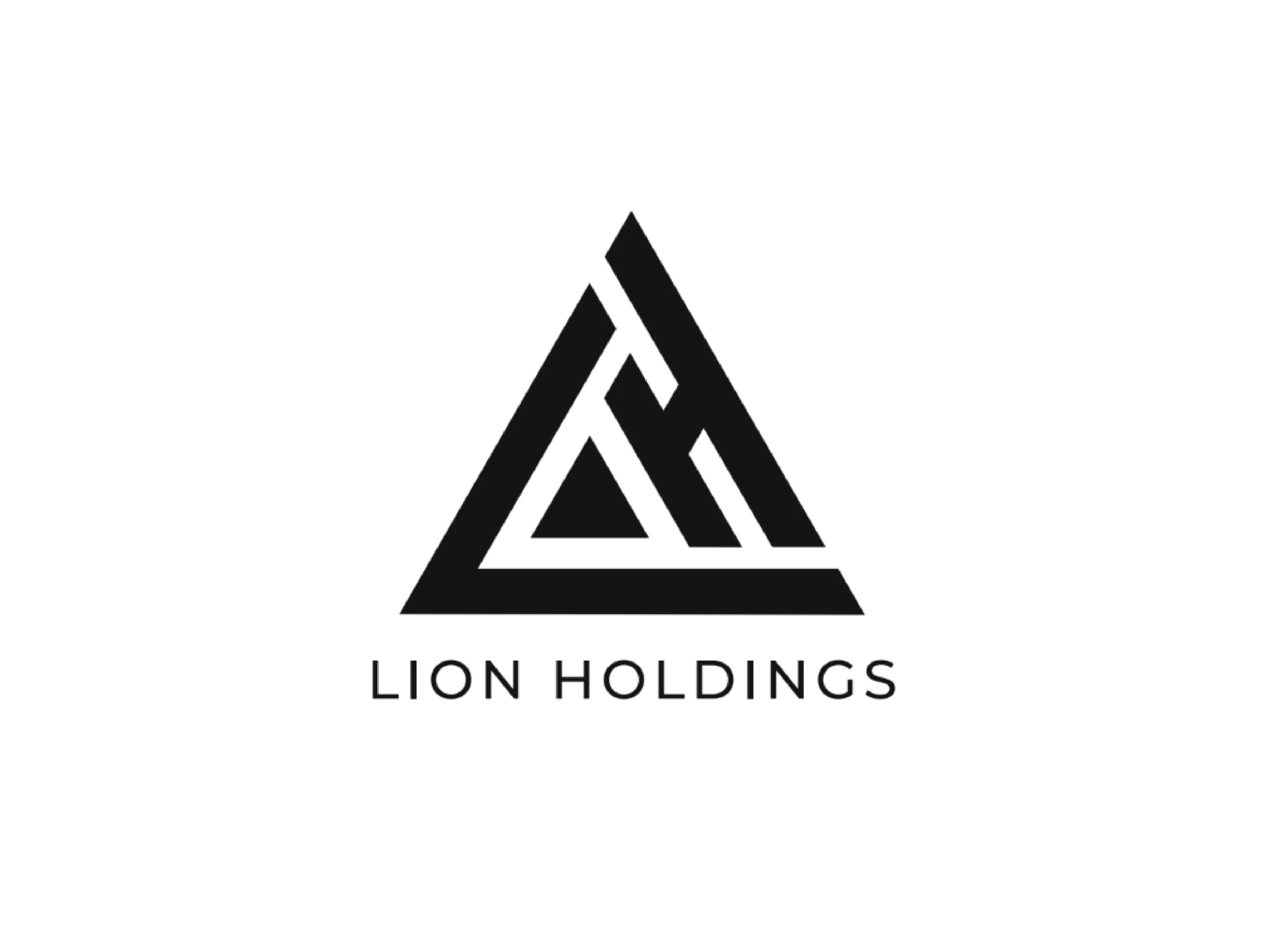 Lion Holdings parent company identity