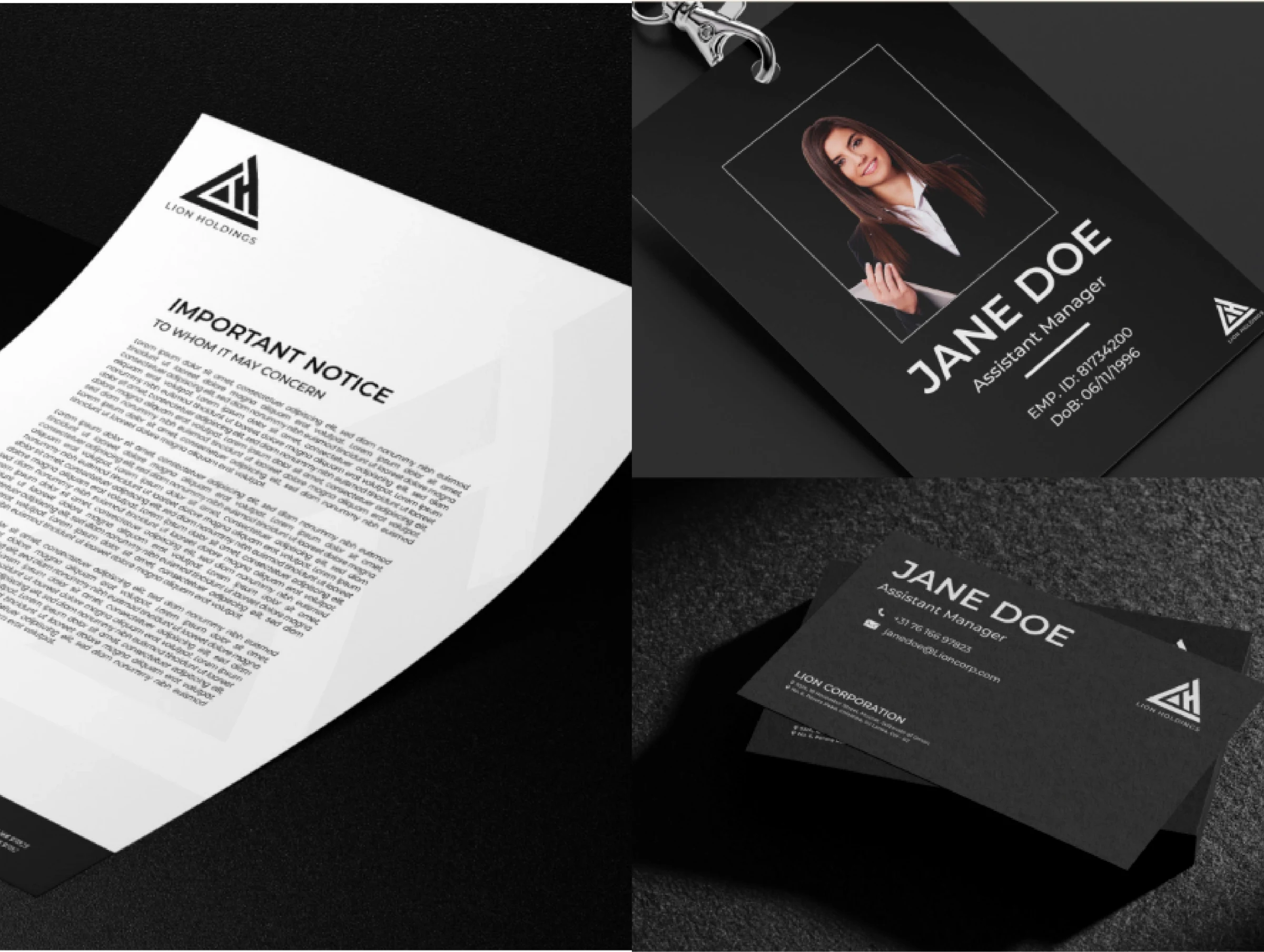 Lion Holdings parent brand stationery and corporate identity