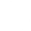 Search Engine Optimisation icon