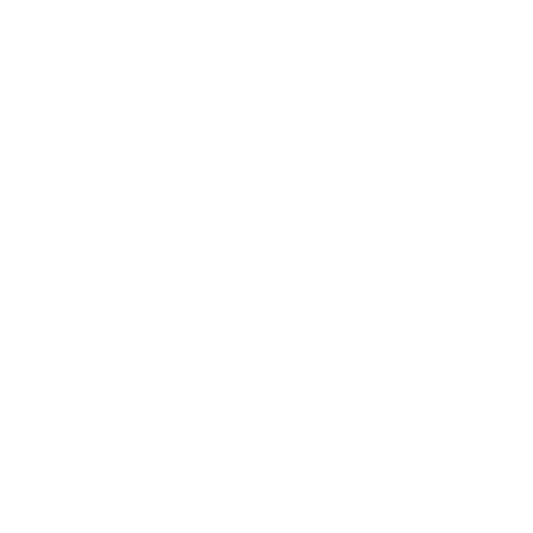 fruity client logo