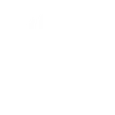 Branding icon