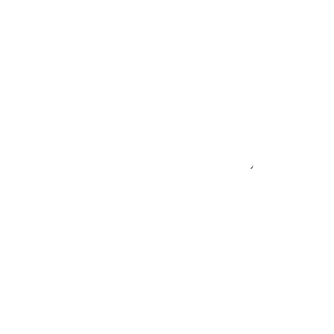 lion-tea client logo