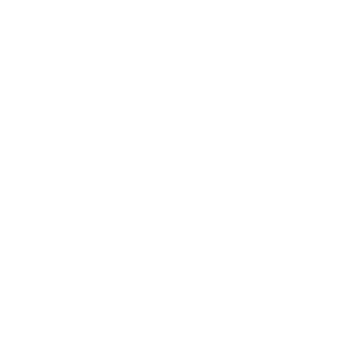 leverage client logo